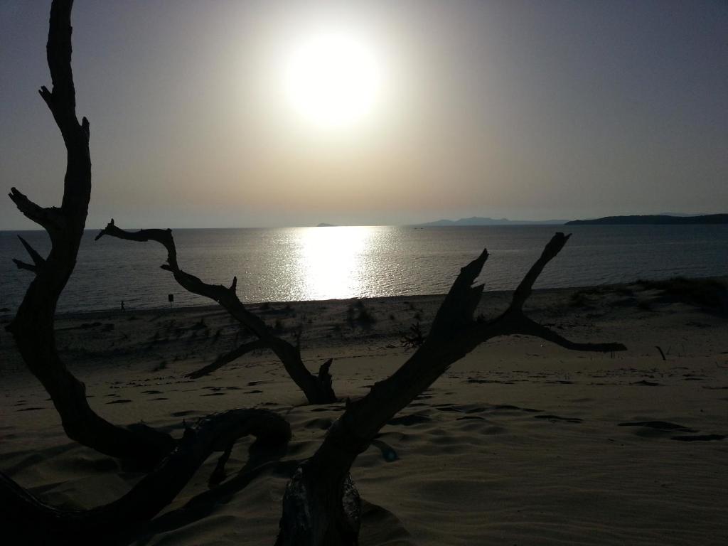 Sa Corti De Sa Perda Piscinas Hotel Cagliari Bagian luar foto